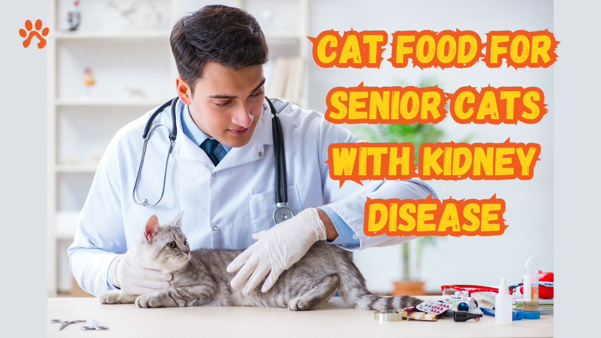 delicious-and-nutritious-kidney-disease-cat-food-recipes-for-a-healthy