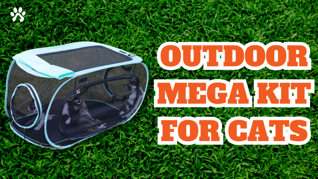 Outdoor Mega Kit for Cats