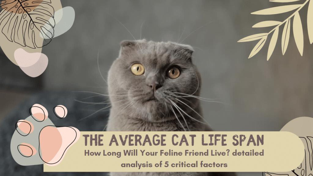 average cat life span