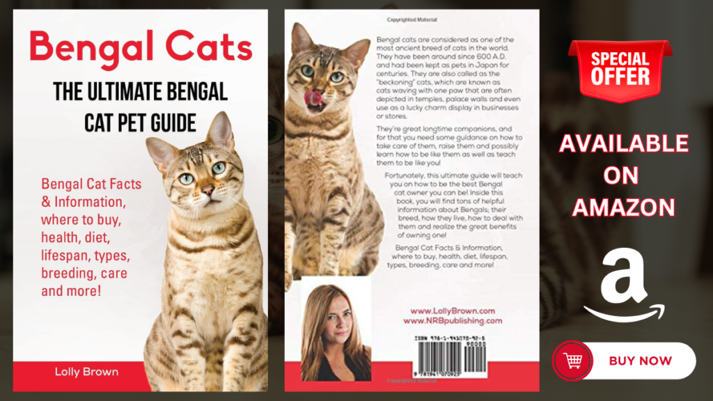 bengal cats the untimate bengal cats pet guide