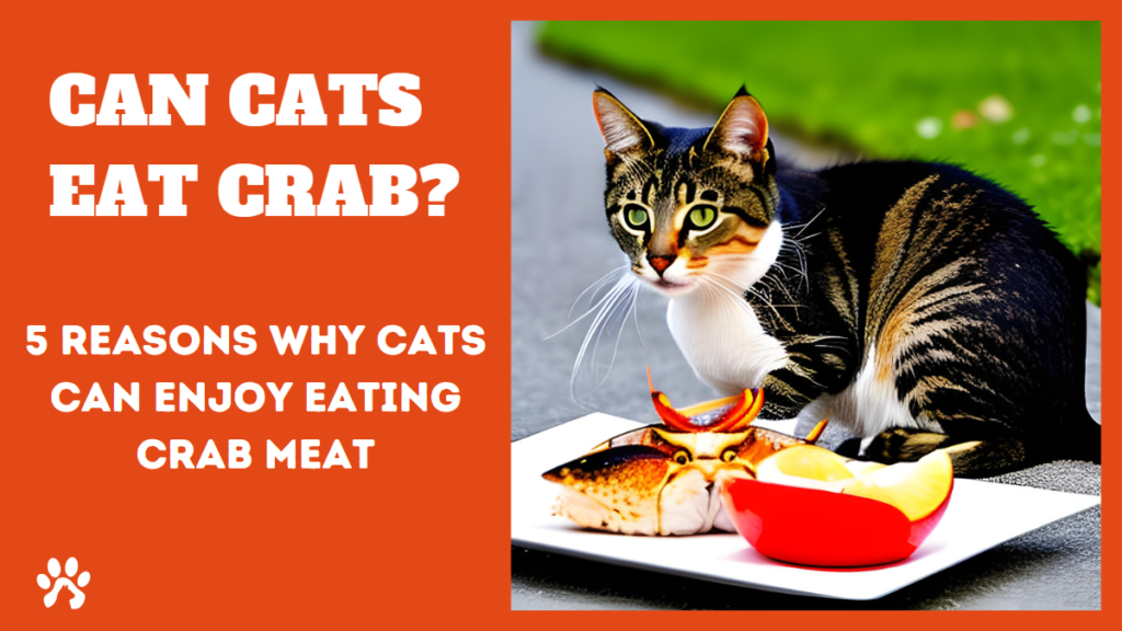 can cats eat crab
