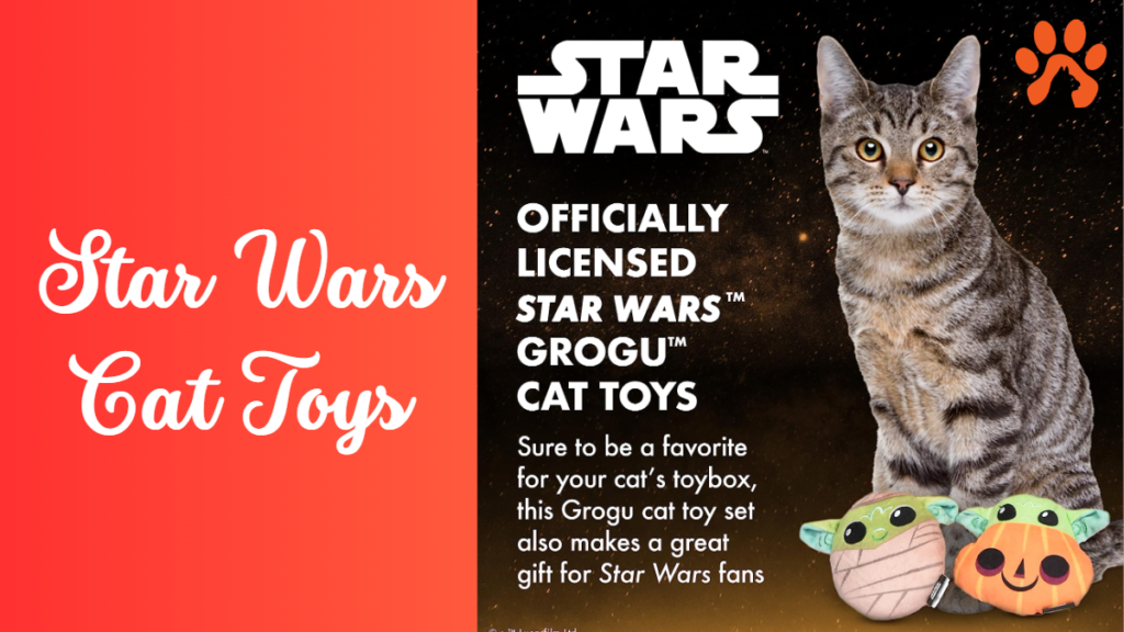 star wars cat toys