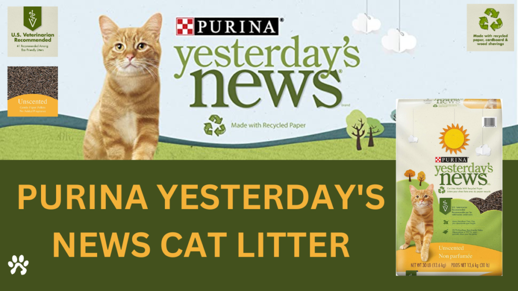 Yesterday News cat litter featured