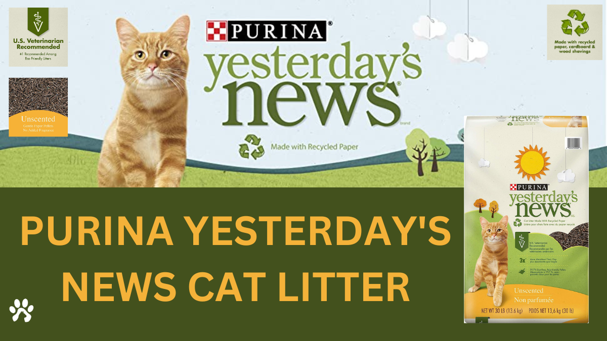 Yesterday News Cat Litter Pros and Cons, A Complete 2 way Guide Pet cat Owners