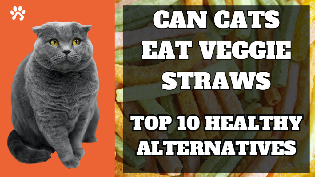 Can cats eat veggie straws