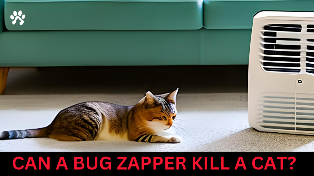 can a bug zapper kill a cat