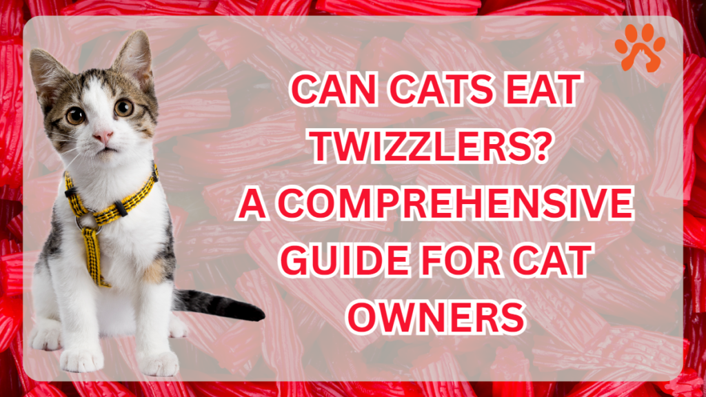 Can Cats Eat Twizzlers